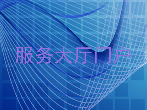 服务大厅门户
