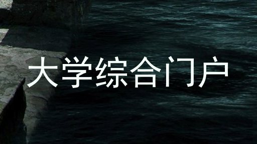 大学综合门户