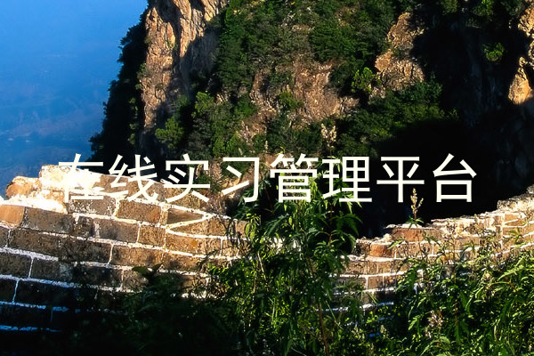 在线实习管理平台