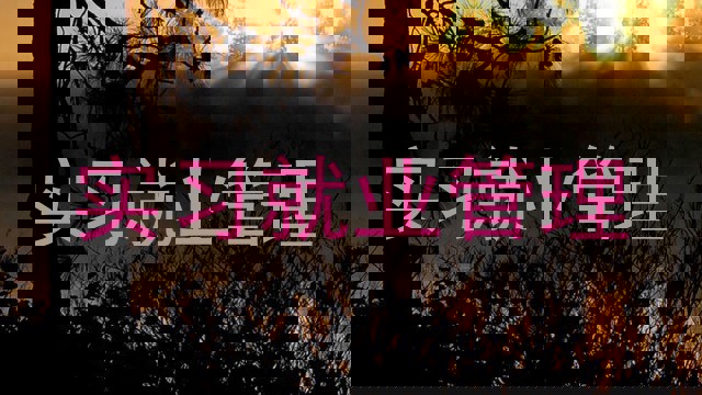 实习就业管理