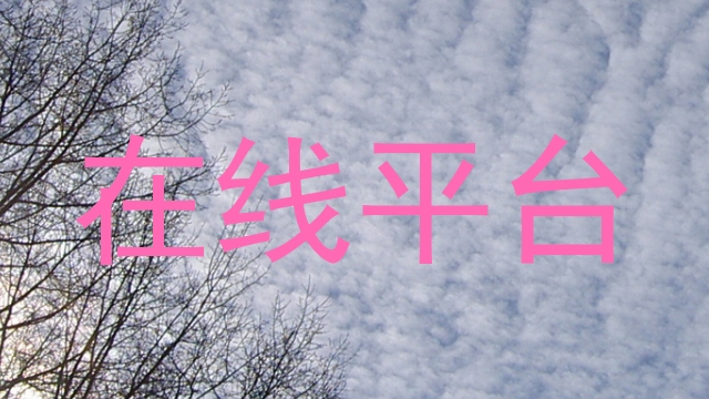 在线平台