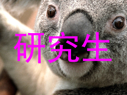 研究生