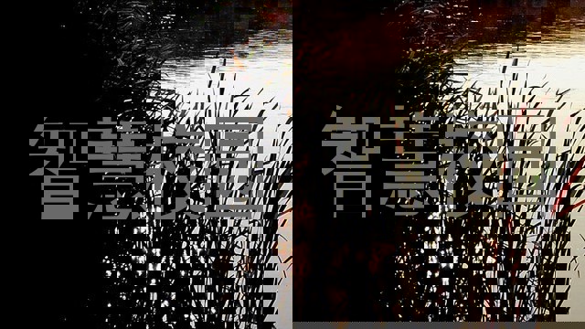 智慧校园