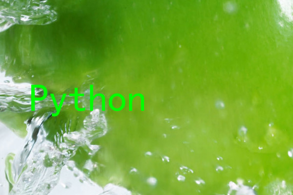 Python