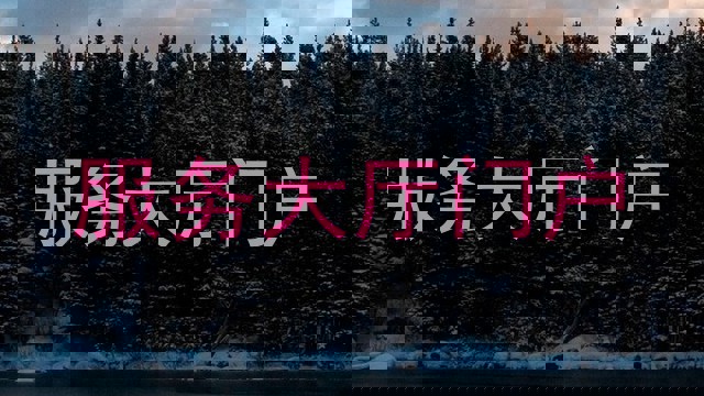 服务大厅门户