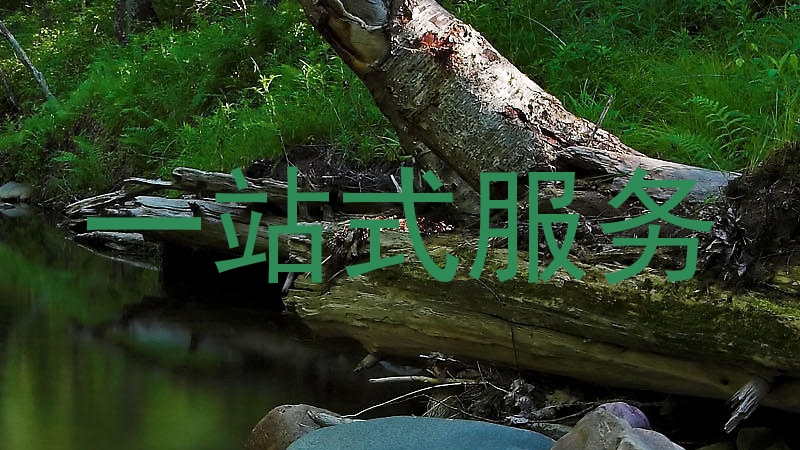 一站式服务