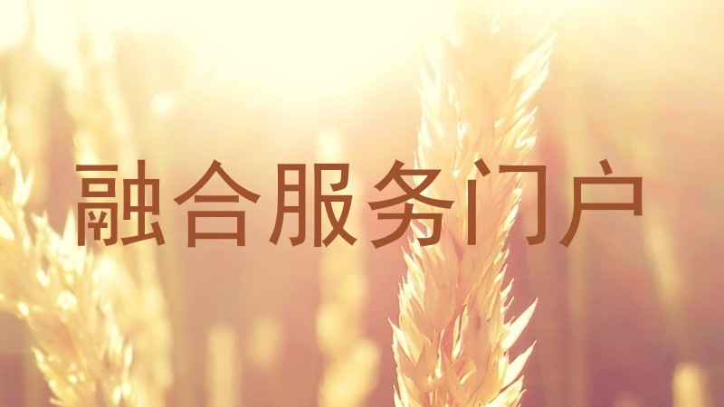 融合服务门户