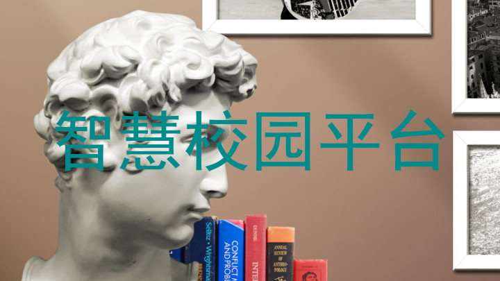 智慧校园平台