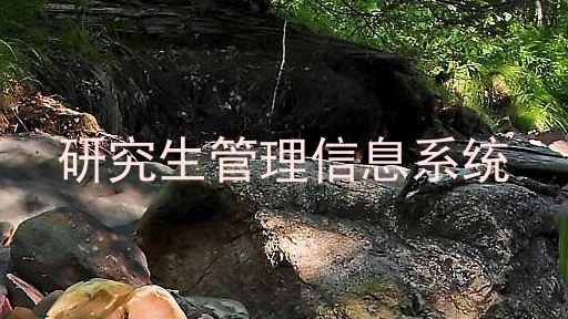 研究生管理信息系统