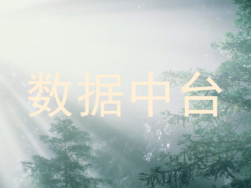 数据中台