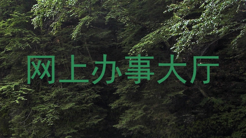 网上办事大厅