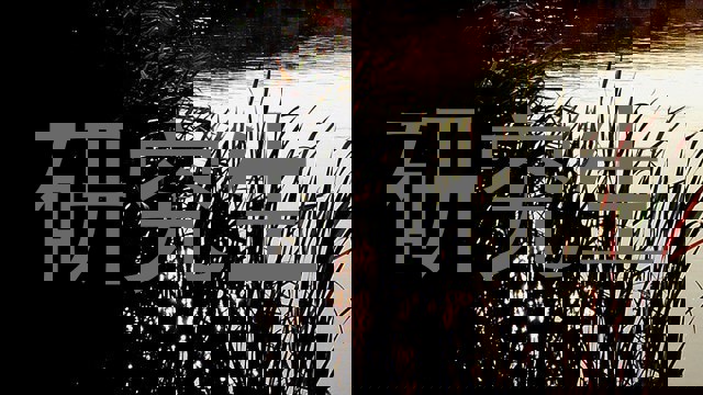 研究生