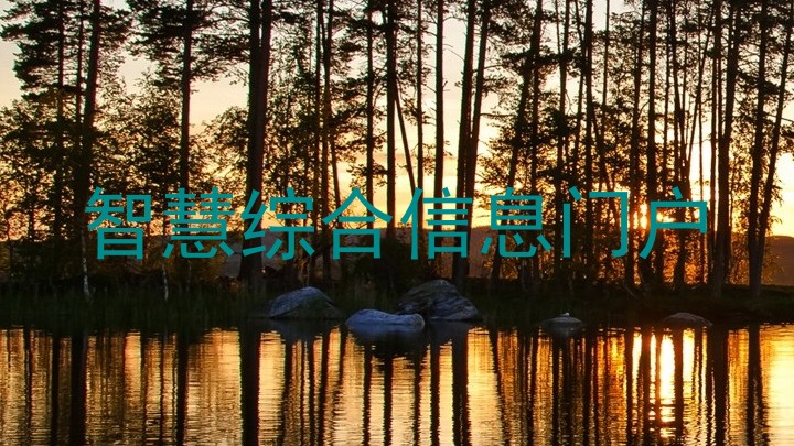 智慧综合信息门户