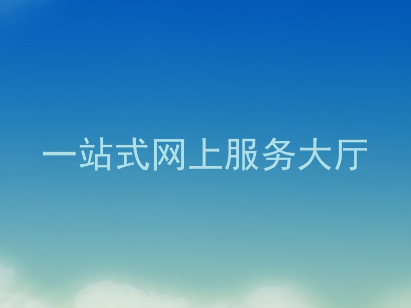 一站式网上服务大厅