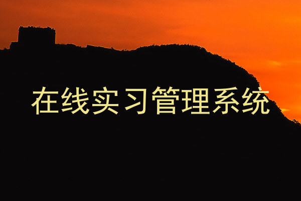在线实习管理系统