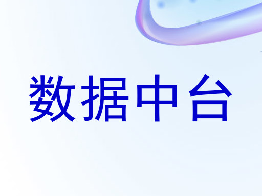 数据中台