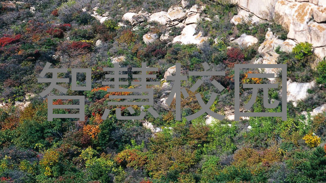 智慧校园