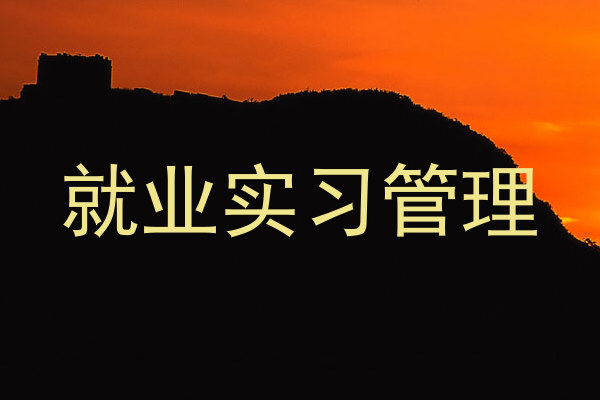 就业实习管理