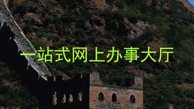 一站式网上办事大厅