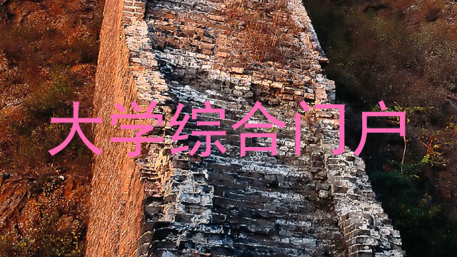 大学综合门户