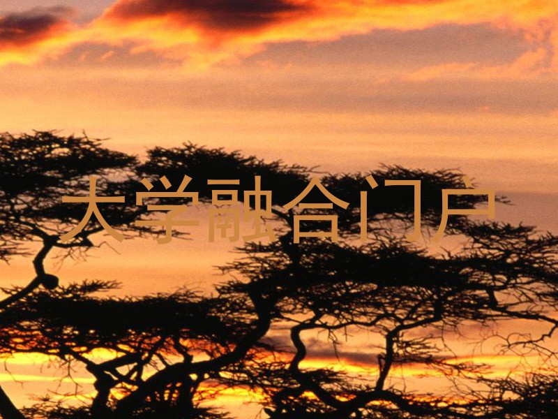 大学融合门户