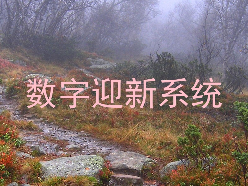 数字迎新系统