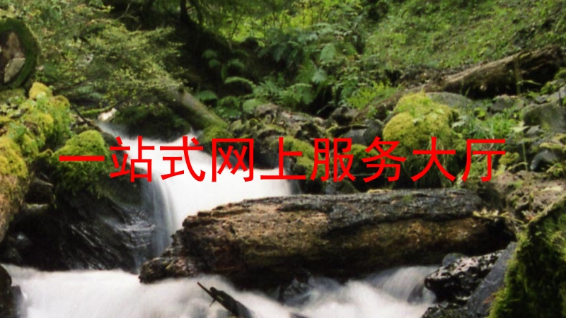 一站式网上服务大厅