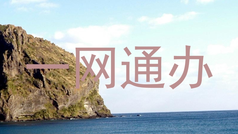 一网通办