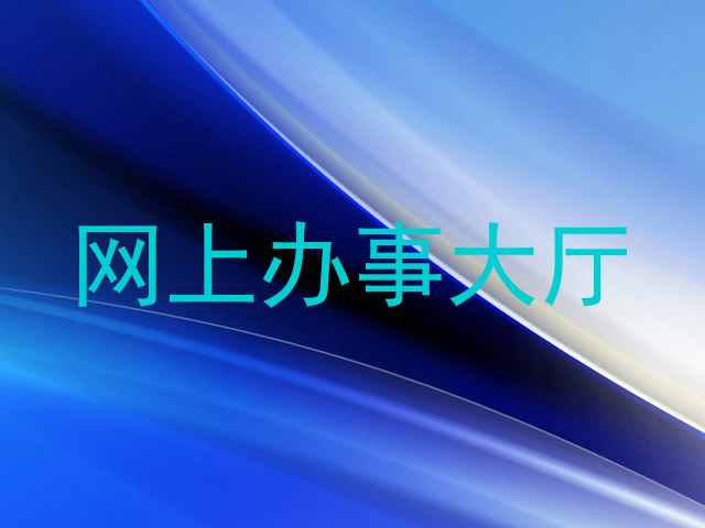 网上办事大厅