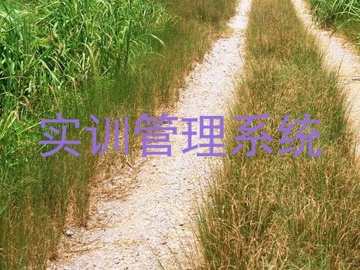 实训管理系统
