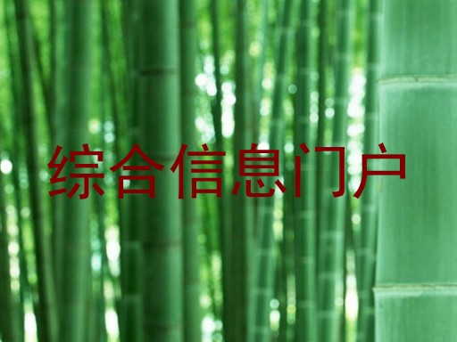 综合信息门户