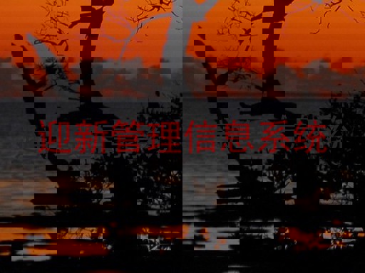 迎新管理信息系统