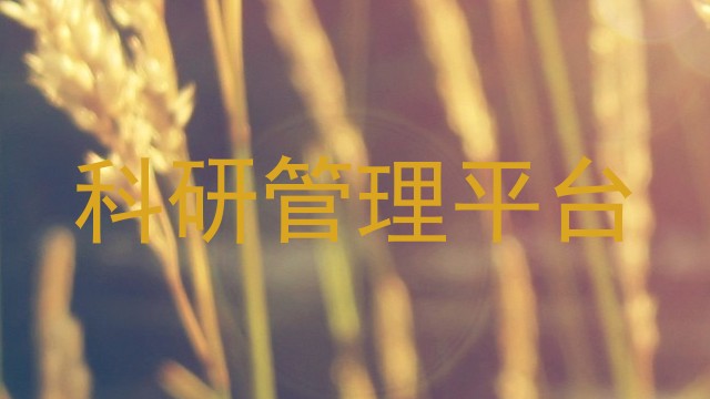 科研管理平台