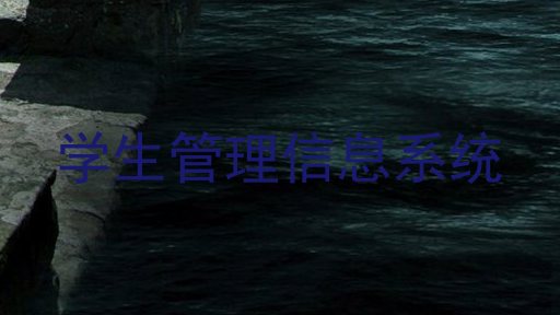 学生管理信息系统