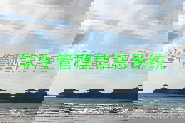 学生管理信息系统