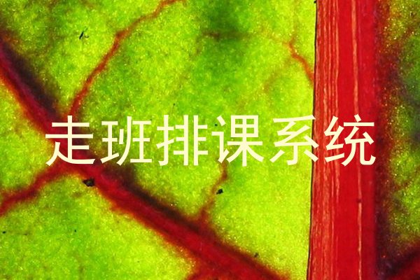 走班排课系统