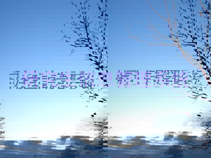 研究生信息管理系统