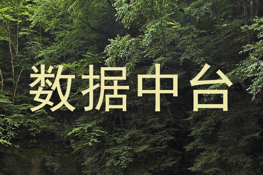 数据中台