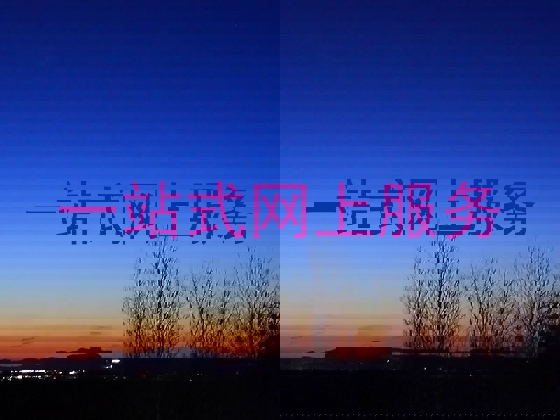 一站式网上服务