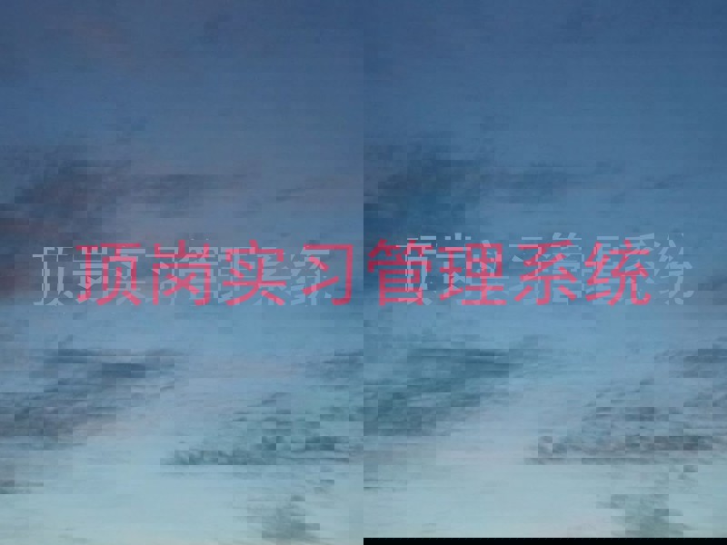 顶岗实习管理系统