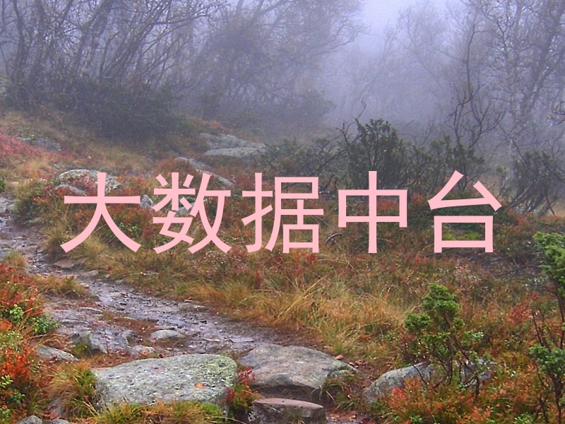 大数据中台