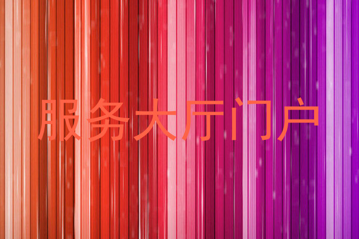 服务大厅门户