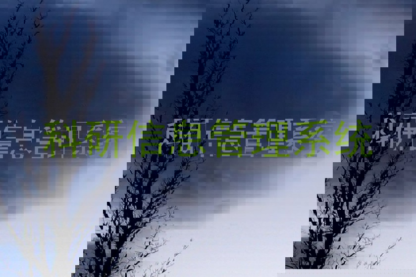 科研信息管理系统