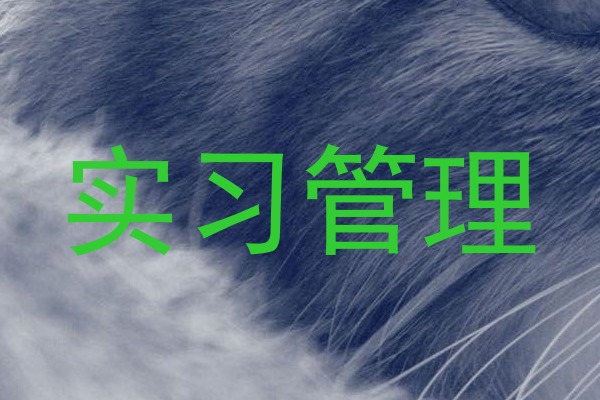 实习管理