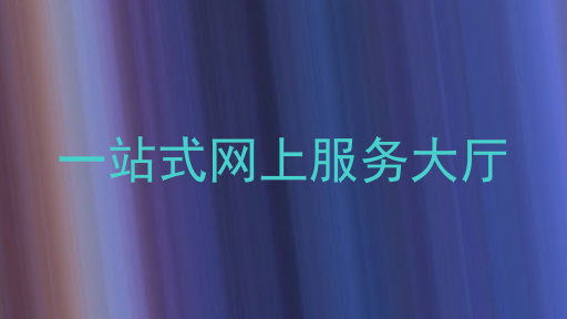 一站式网上服务大厅
