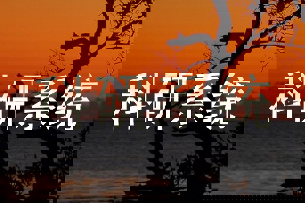 科研系统