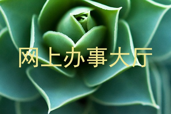 网上办事大厅