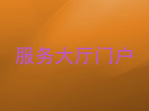 服务大厅门户