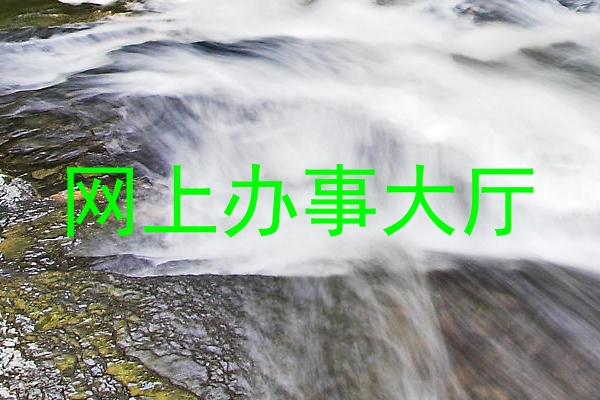 网上办事大厅