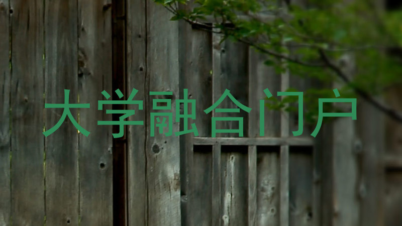 大学融合门户